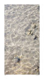 Ocean Ripples II Edición limitada por Joy Doherty Ocean Ripples II Edición limitada por Joy Doherty