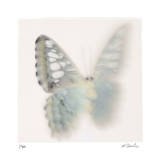Butterfly Study 8 Edición limitada por Claude Peschel Dutombe Butterfly Study 8 Edición limitada por Claude Peschel Dutombe