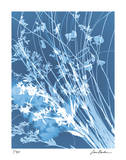 Flower Shadow IV Limited Edition by Lois Bender