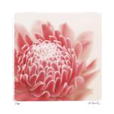 Pastel Study 4 Edición limitada por Claude Peschel Dutombe