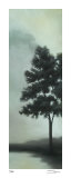 Trees in the Mist III Limited Edition by Deac Mong