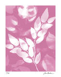 Flower Shadow VI Spesialversjon av Lois Bender