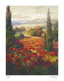 Fields of Italia II Edycja limitowana autor Roberto Lombardi Fields of Italia II Edycja limitowana autor Roberto Lombardi