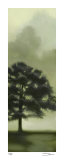 Trees in the Mist II Limited Edition by Deac Mong