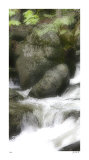 In the Flow II Edición limitada por Joy Doherty