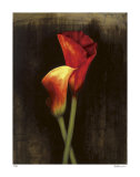 Red Calla Lily Edición limitada por Elise Remender