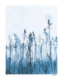 Pastoral Moment Limited Edition by Lilli Farrell