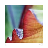 Banana Leaves III Edycja limitowana autor Joy Doherty Banana Leaves III Edycja limitowana autor Joy Doherty