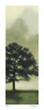 Trees in the Mist II Limited Edition by Deac Mong