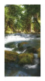 Serenity Stream II Edición limitada por Joy Doherty Serenity Stream II Edición limitada por Joy Doherty