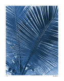 Tropical Meditation Edición limitada por Lilli Farrell