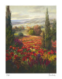 Fields of Italia II Edición limitada por Roberto Lombardi Fields of Italia II Edición limitada por Roberto Lombardi