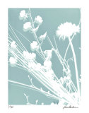 Flower Shadow II Limited Edition by Lois Bender