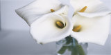 Springplicity II Prints by Cinzia Ryan