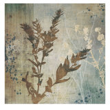 Organic Elements II Prints by Tandi Venter