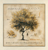 Mimosas du Lavandou Affiches par Pascal Cessou