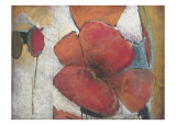 Full Blossom I Print by Don Li-Leger