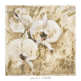 Fragrant Snow II Print by Elizabeth Jardine