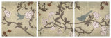 Songbird Posters por Tandi Venter