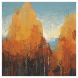 The Maples I Prints by Peter Colbert