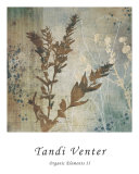 Organic Elements II Póster por Tandi Venter