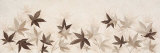 Fly of Leaves I Láminas por Jose Barbera