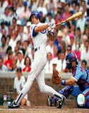 Ryne Sandberg Prints