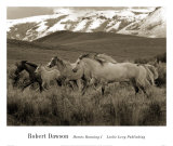 Horses Running I Affiches par Robert Dawson