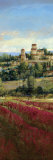 Tuscan Harvest I Print by P. Patrick