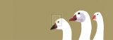 Three Geese Pôsters por Jayson Lilley Three Geese Pôsters por Jayson Lilley