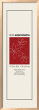 Madeira Birch 30 x 91 cm Wood Frame Ferdiglaget ramme