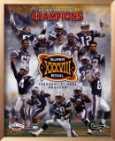 New England Patriots - Super Bowl XXXVIII Champions - Limited Edition Prints