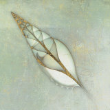 Neptune's Garden II Prints by Bert Meyers
