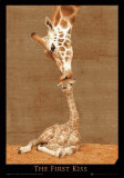 First Kiss Poster