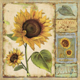 Sunny Day II Posters by Daphne Brissonnet