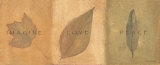 Imagine Love Peace Art by Stephanie Marrott
