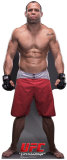 Wanderlei Silva - UFC Stand Up