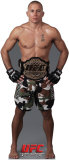 UFC - Georges St Pierre Stand Up
