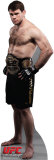 UFC - Forrest Griffin Stand Up