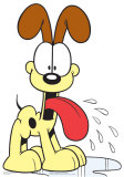 Odie Stand Up