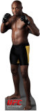 UFC - Anderson Silva Stand Up