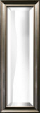 8x30 Bevel Mirror Decorative Mirror