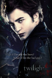 Twilight Poster Twilight Poster