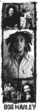 Bob Marley - Reprodüksiyon