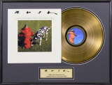 Rush Framed Memorabilia