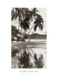 Coco Palms, Acapulco, 1932 Giclee Print