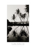 Cocotiers, Pearl Harbor, Hawaï, 1927 reproduction procédé giclée