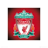Liverpool Crest Poster