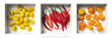Chilies and Patissons Poster by Dave Brullmann