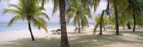 Sunning Tourists on 7-Mile Beach, Negril, Jamaica Photographic Print by Panoramic Images 